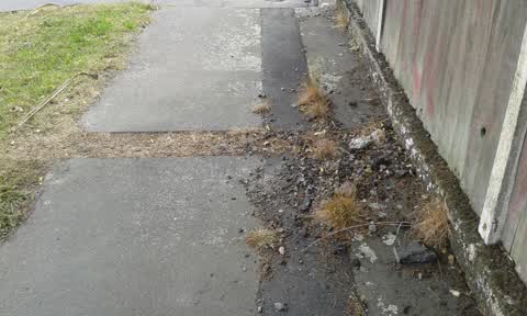Roading/Streets, a report photo