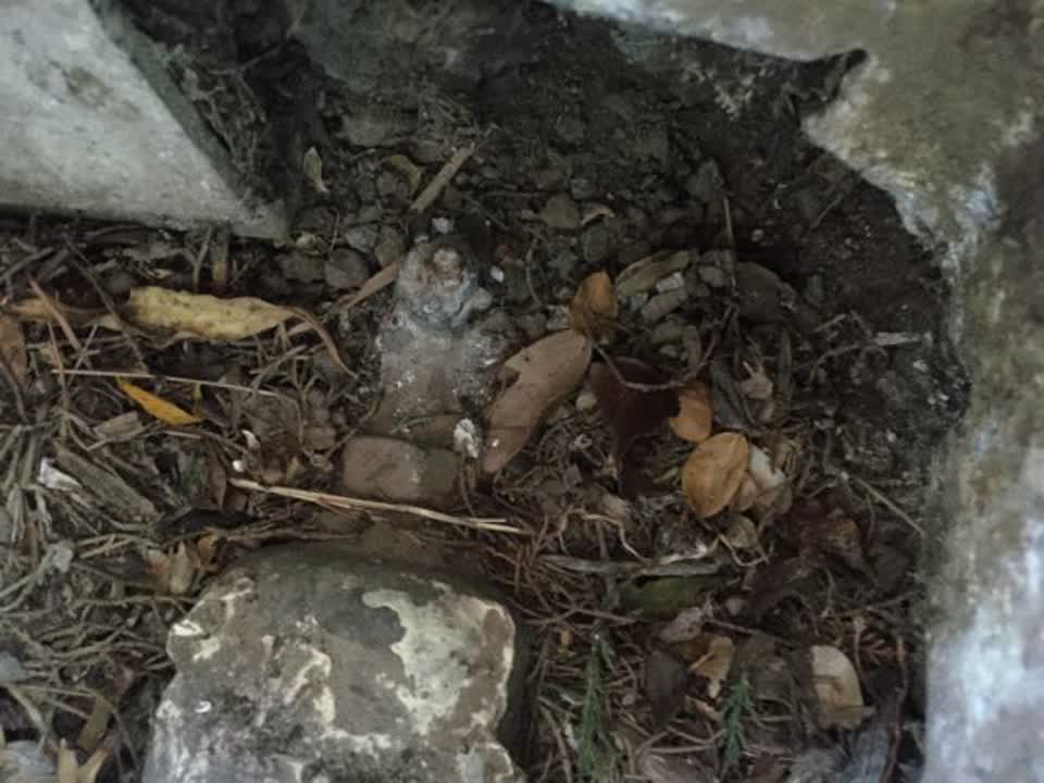 The photograph attached to this water supply report