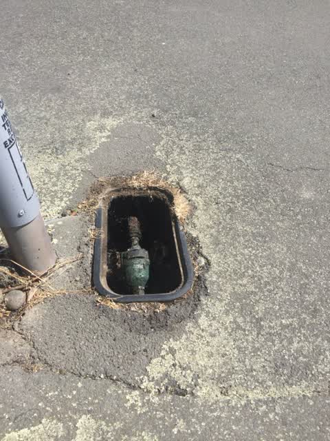Water Supply, a report photo