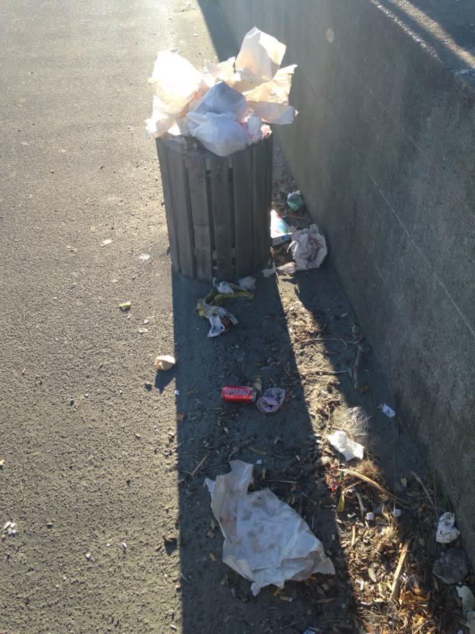 The photograph attached to this rubbish/recycling report