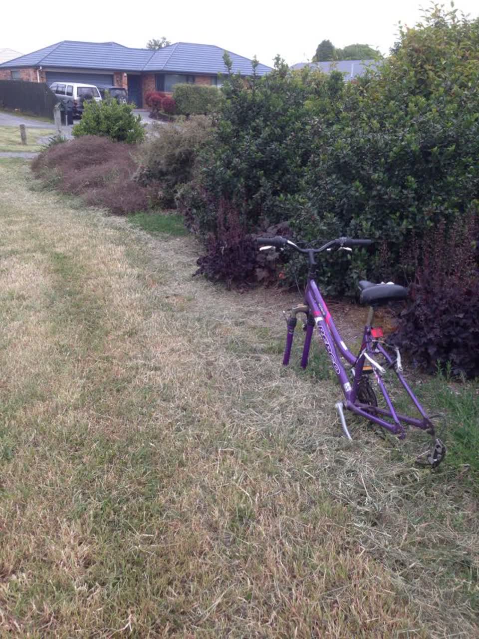 The photograph attached to this parks report