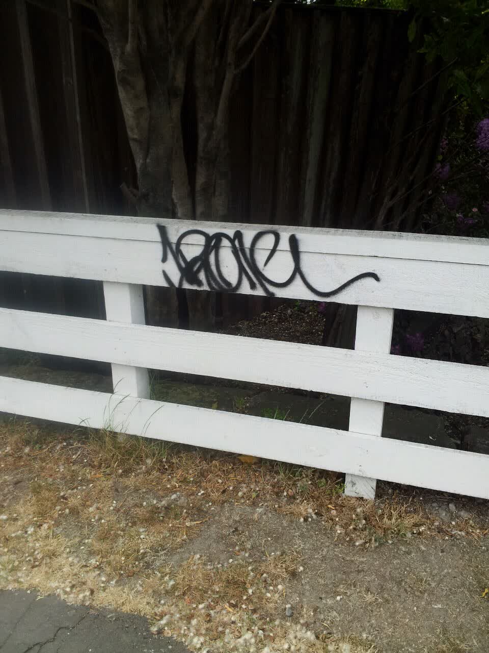 The photograph attached to this graffiti report