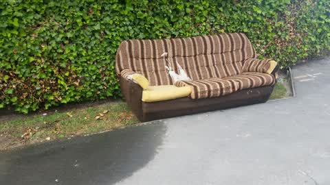 Rubbish/Recycling, a report photo