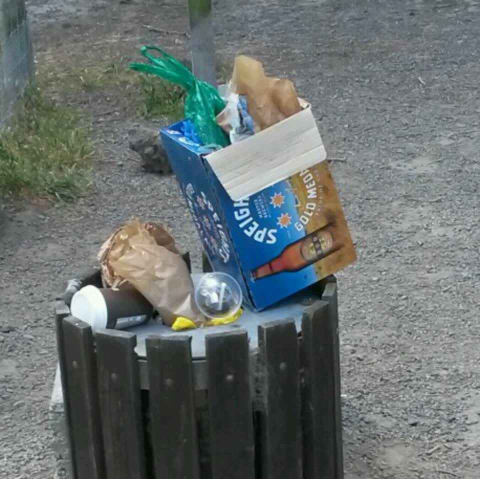 The photograph attached to this parks report