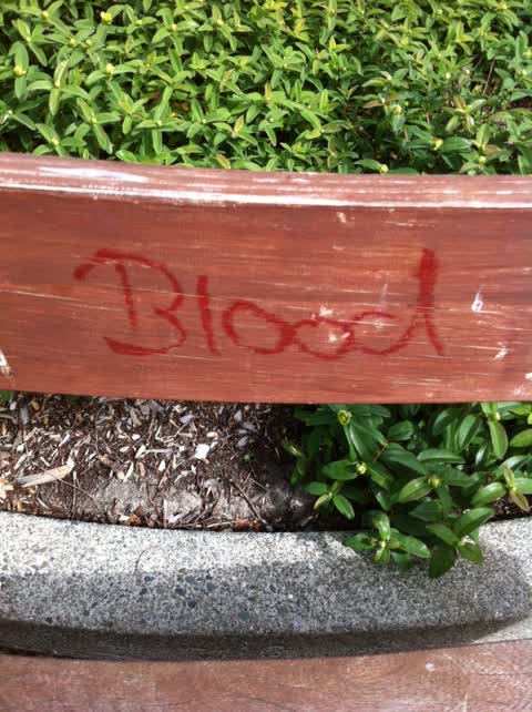 Graffiti, a report photo