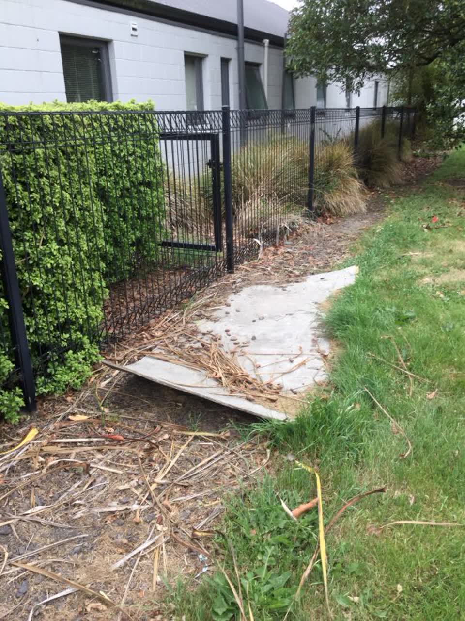 The photograph attached to this parks report