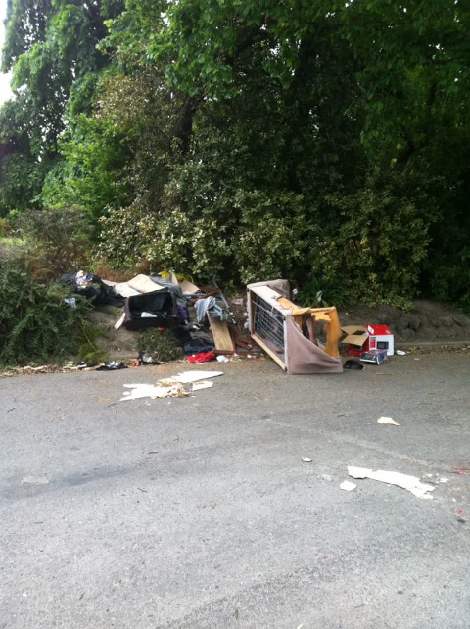 The photograph attached to this rubbish/recycling report