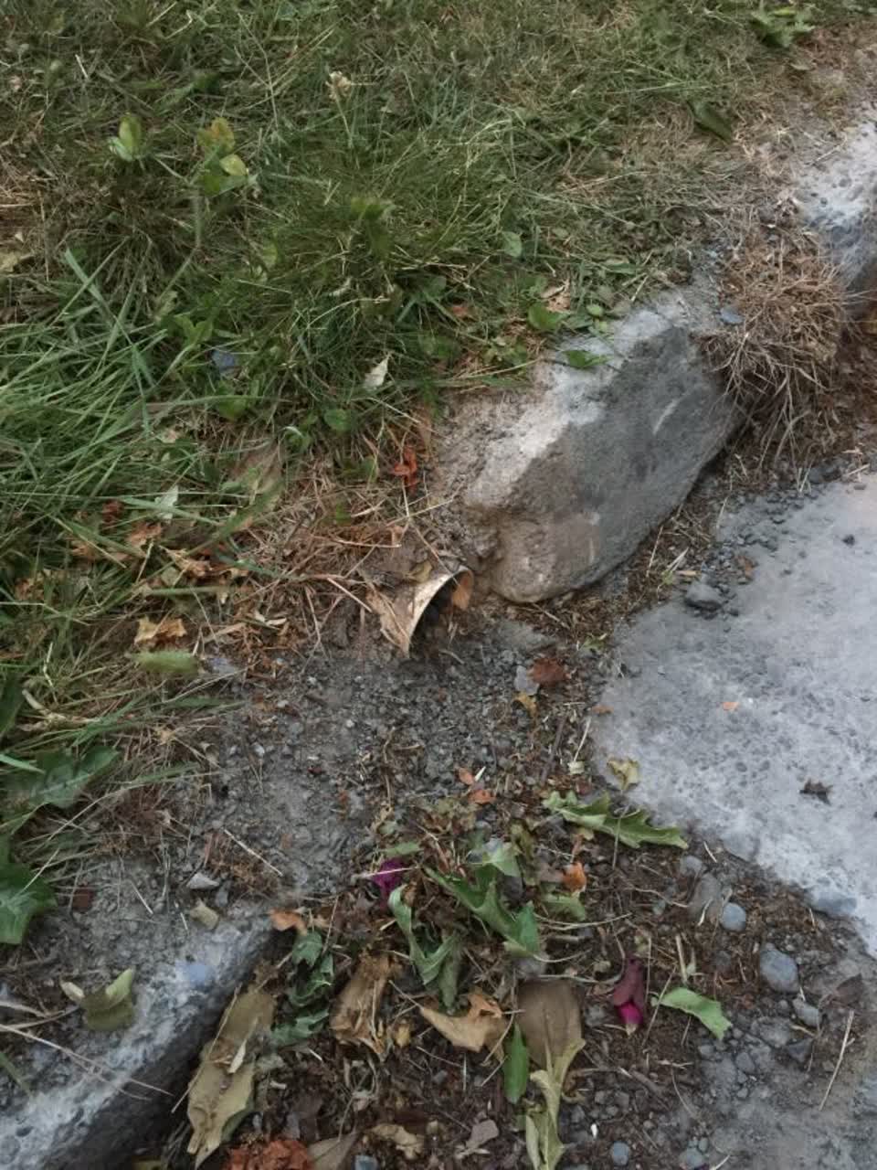 The photograph attached to this wastewater/stormwater report