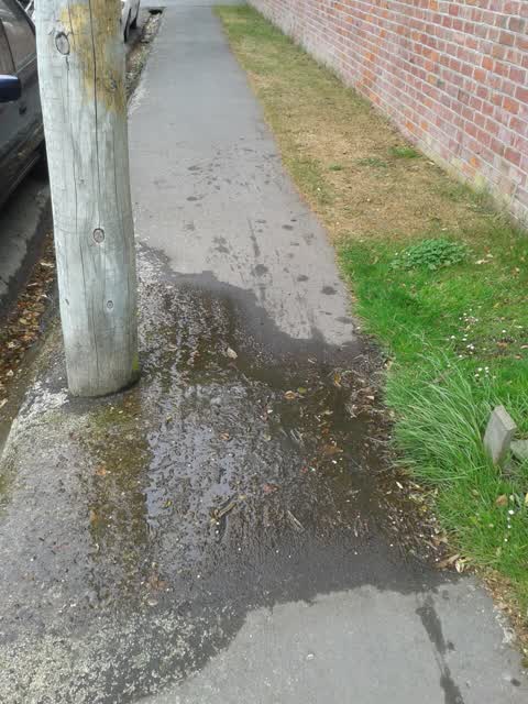 Water Supply, a report photo