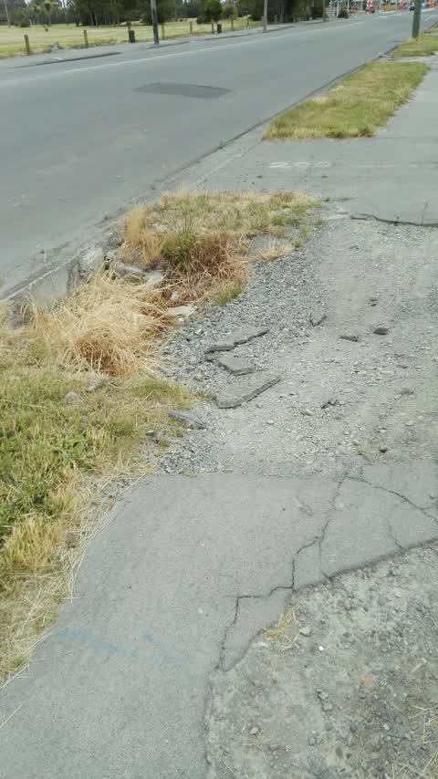 Roading/Streets, a report photo
