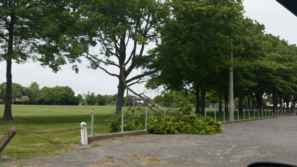 The photograph attached to this parks report
