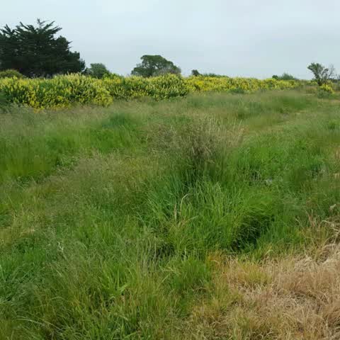 Parks, a report photo