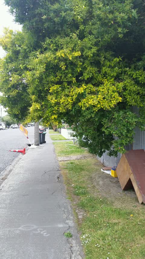 Roading/Streets — a report photo