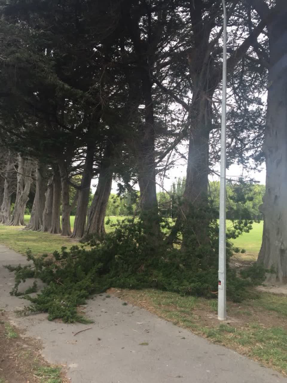 The photograph attached to this parks report