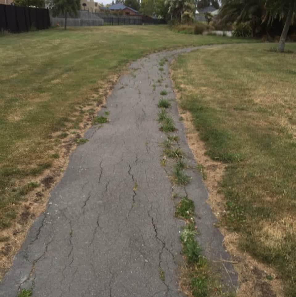 The photograph attached to this parks report