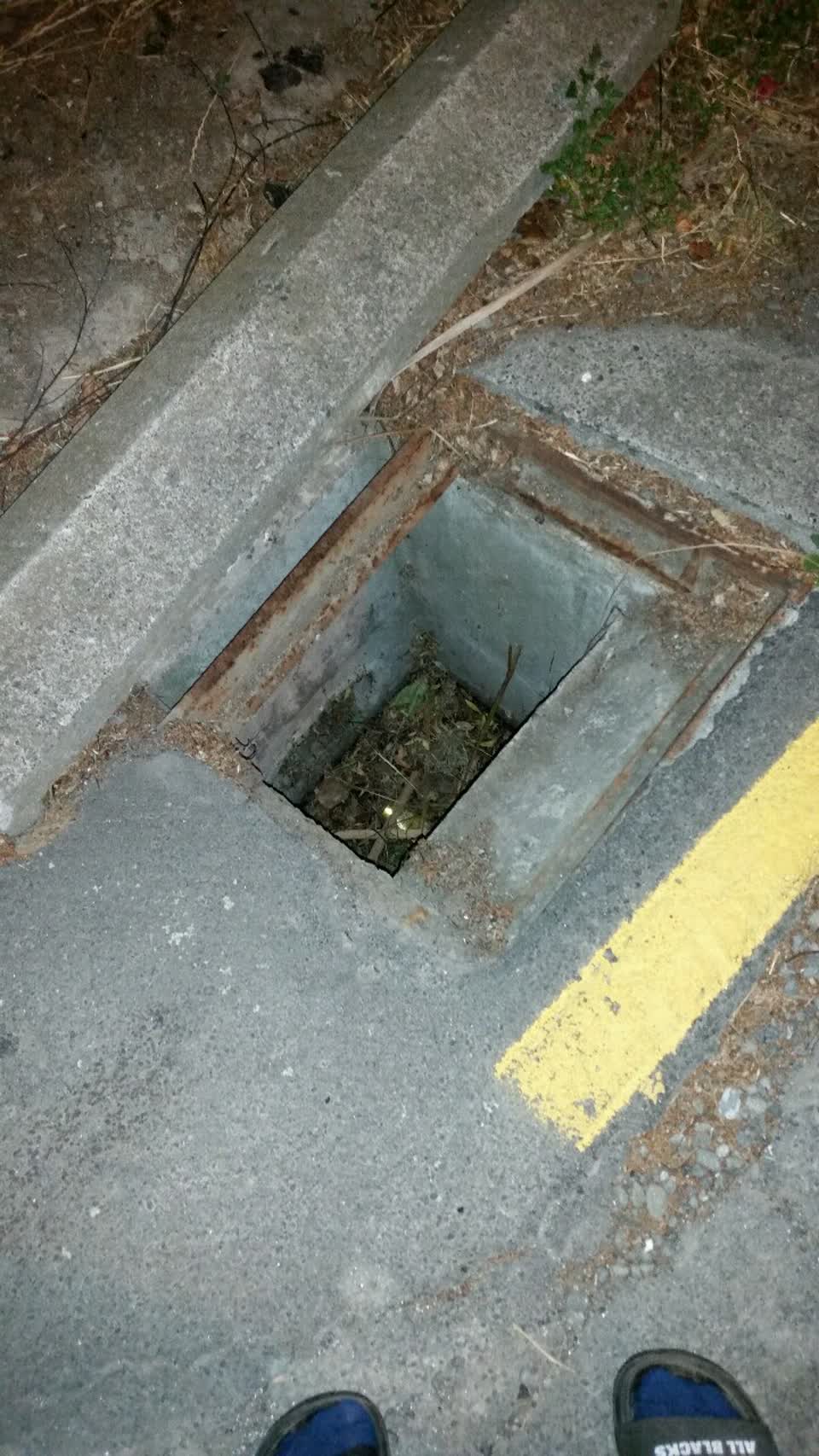 The photograph attached to this wastewater/stormwater report