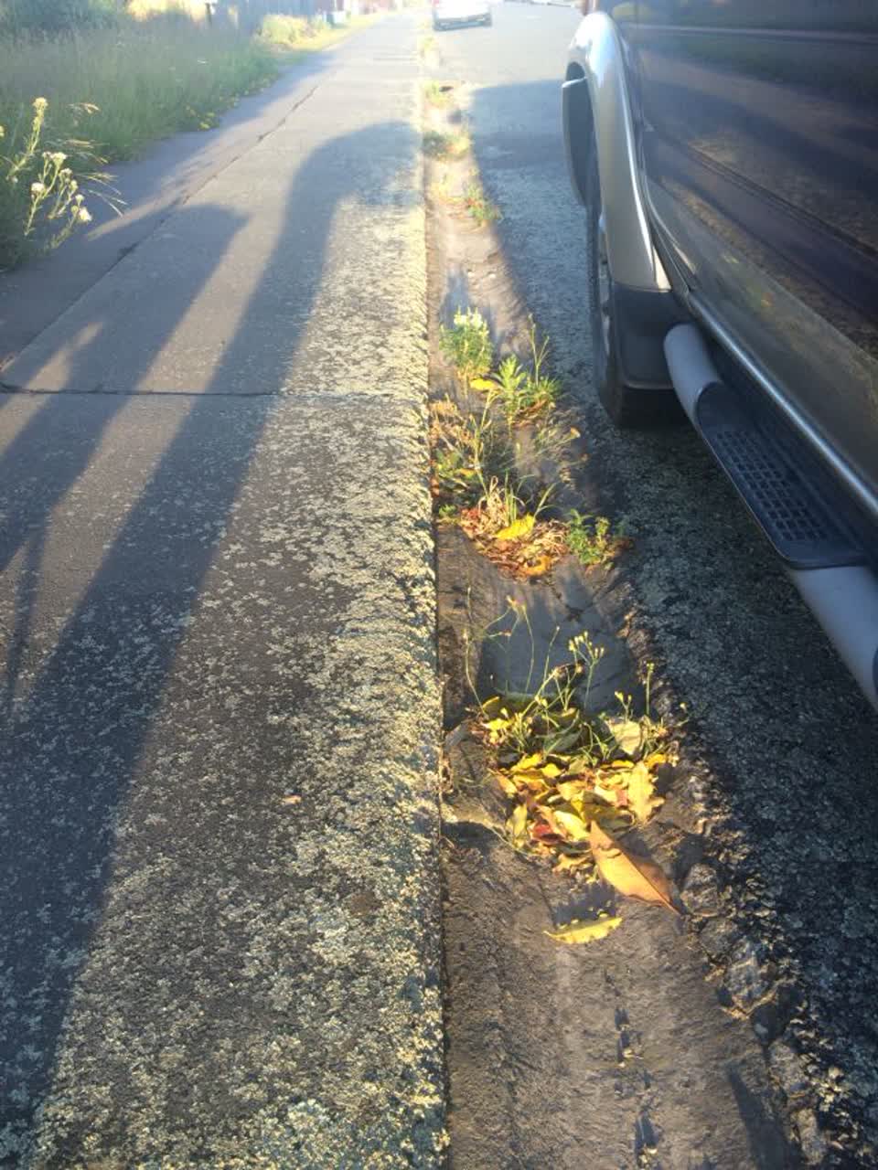 The photograph attached to this roading/streets report