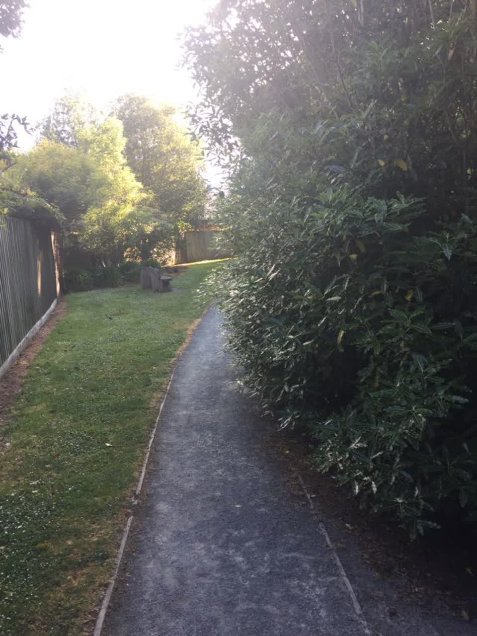 The photograph attached to this parks report