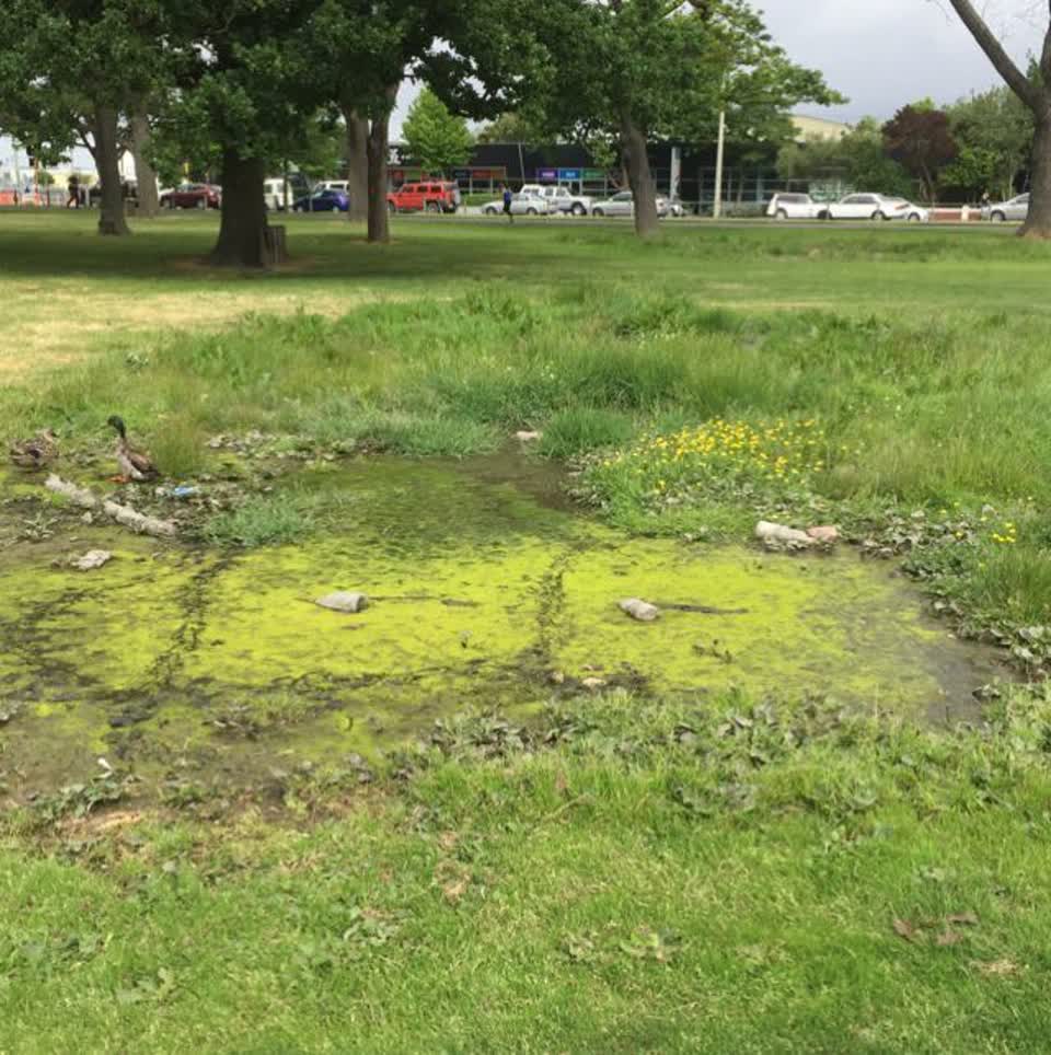 The photograph attached to this wastewater/stormwater report