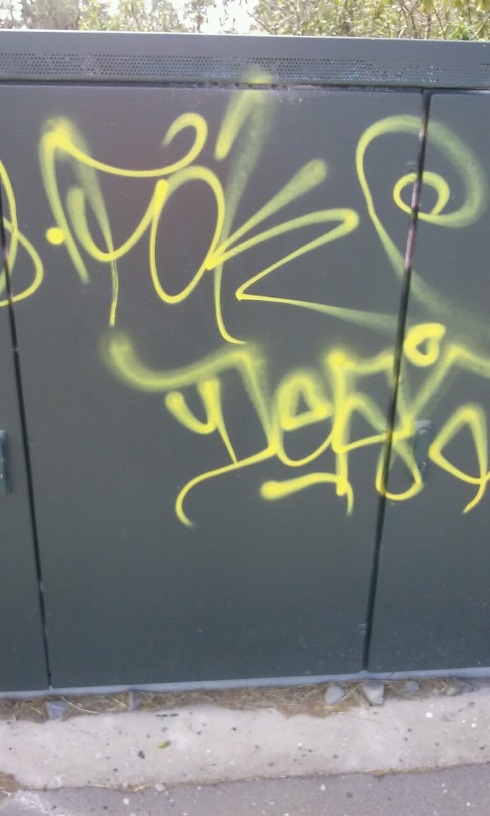 The photograph attached to this graffiti report
