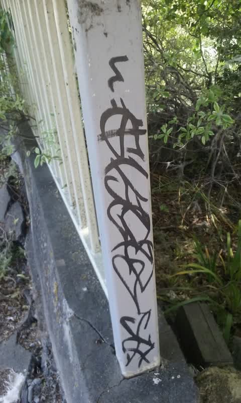 Graffiti, a report photo