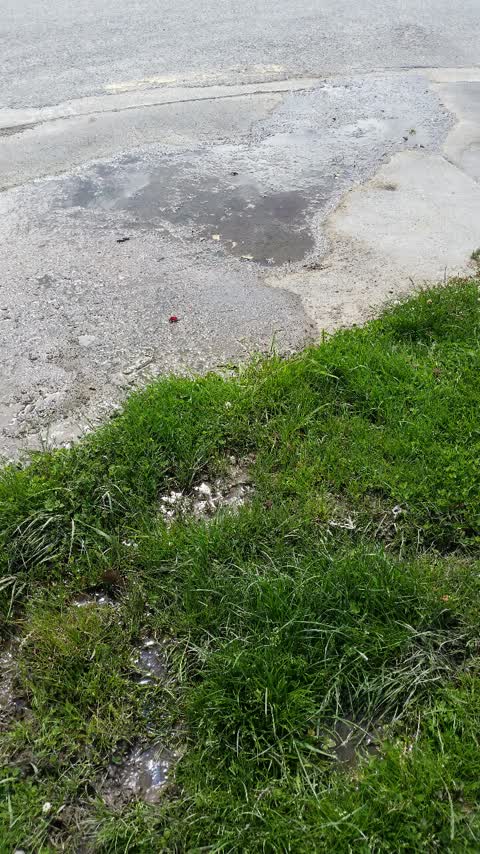 Water Supply, a report photo