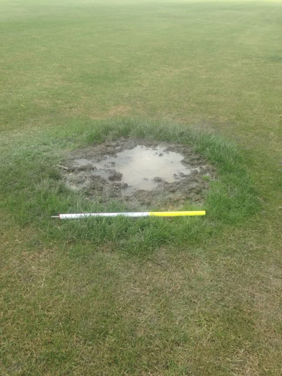 The photograph attached to this parks report