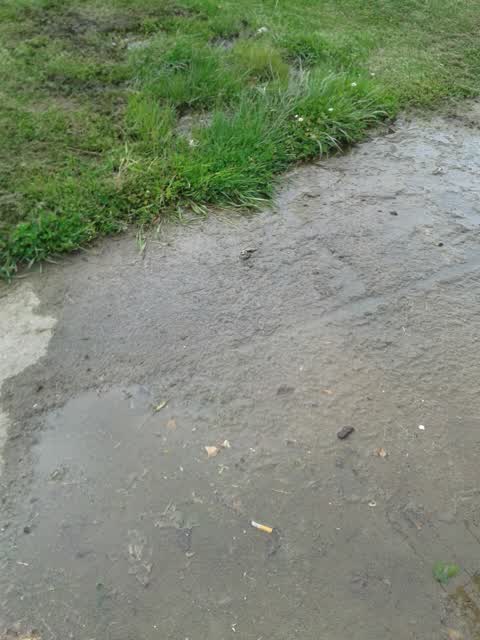 Water Supply, a report photo