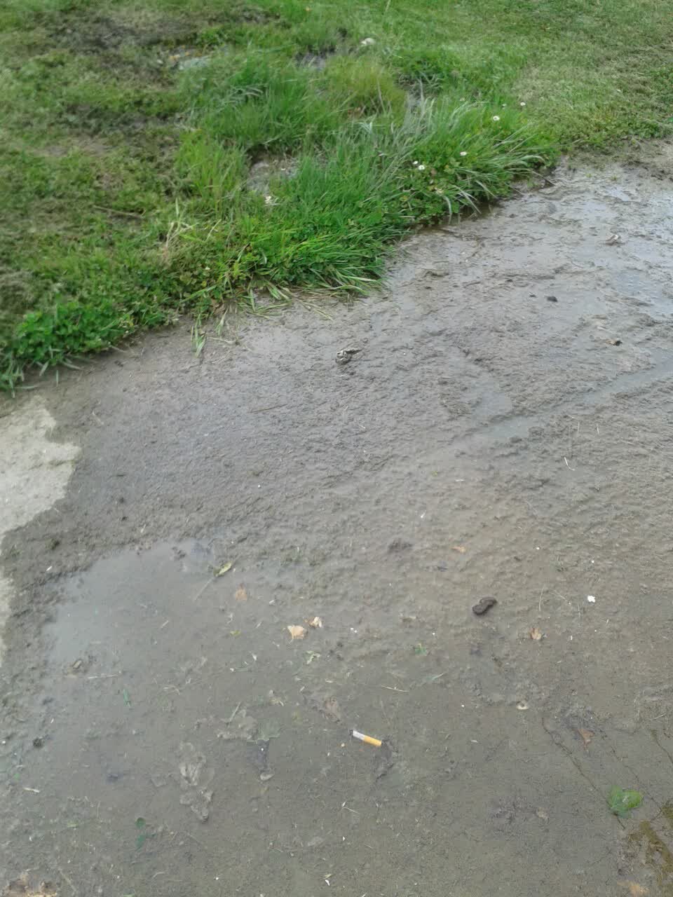 The photograph attached to this water supply report
