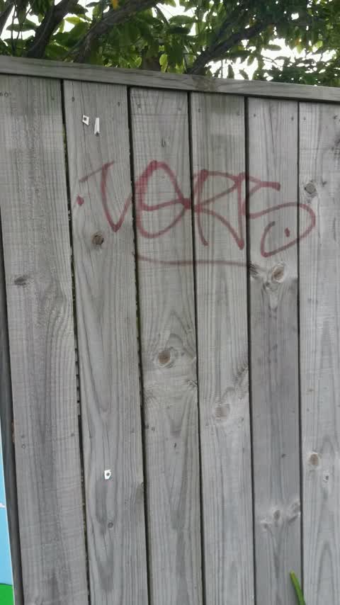 Graffiti, a report photo