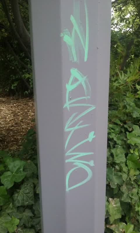 Graffiti, a report photo