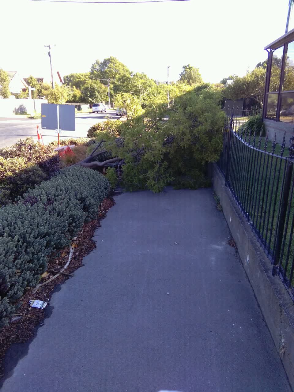 The photograph attached to this roading/streets report