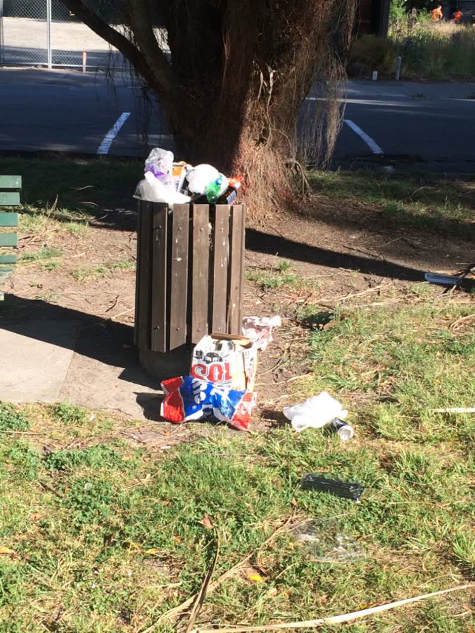 The photograph attached to this rubbish/recycling report
