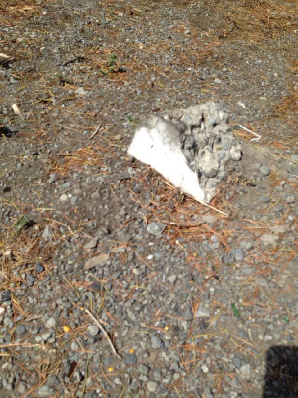 The photograph attached to this parks report