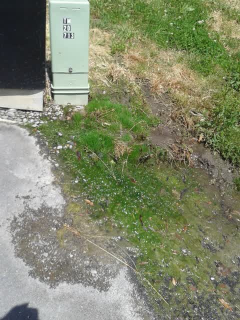 Water Supply, a report photo