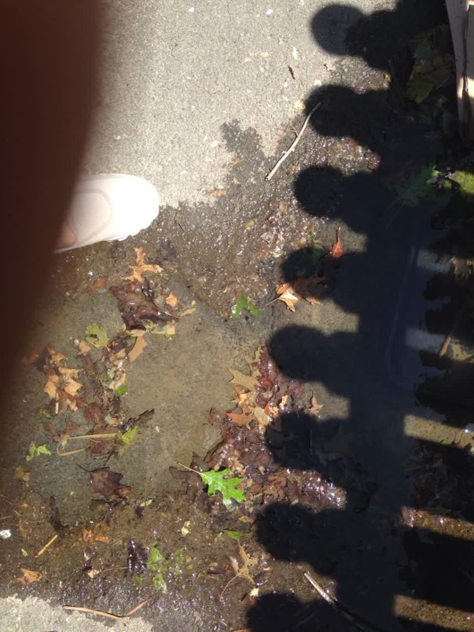 The photograph attached to this water supply report