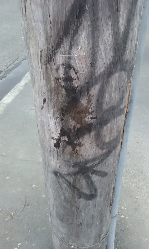 Graffiti — a report photo