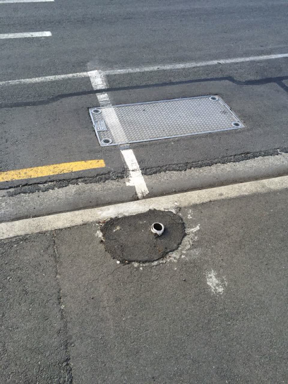 The photograph attached to this parks report