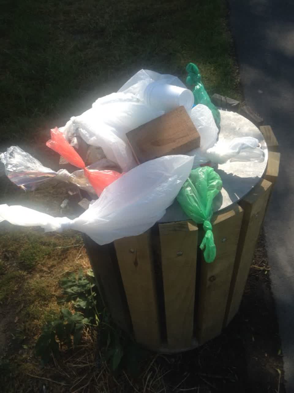 The photograph attached to this rubbish/recycling report