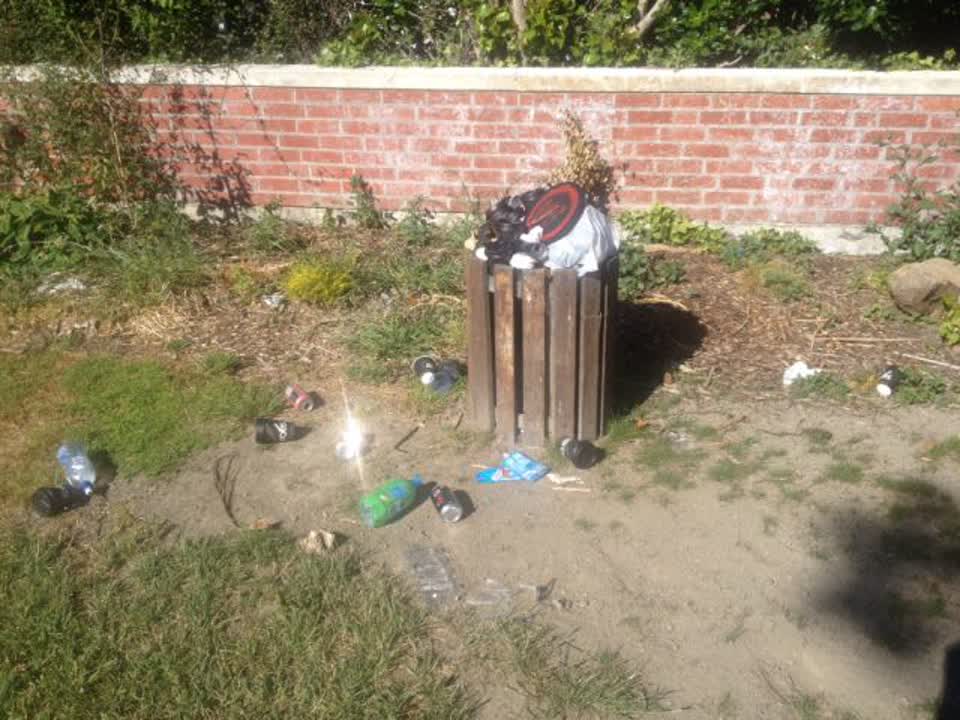 The photograph attached to this rubbish/recycling report