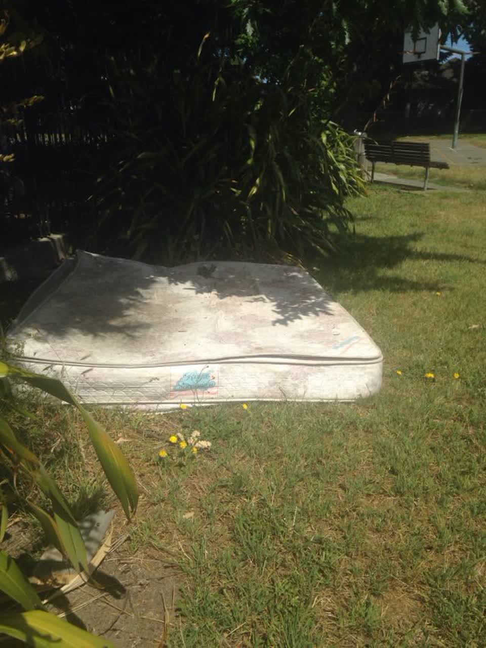The photograph attached to this rubbish/recycling report