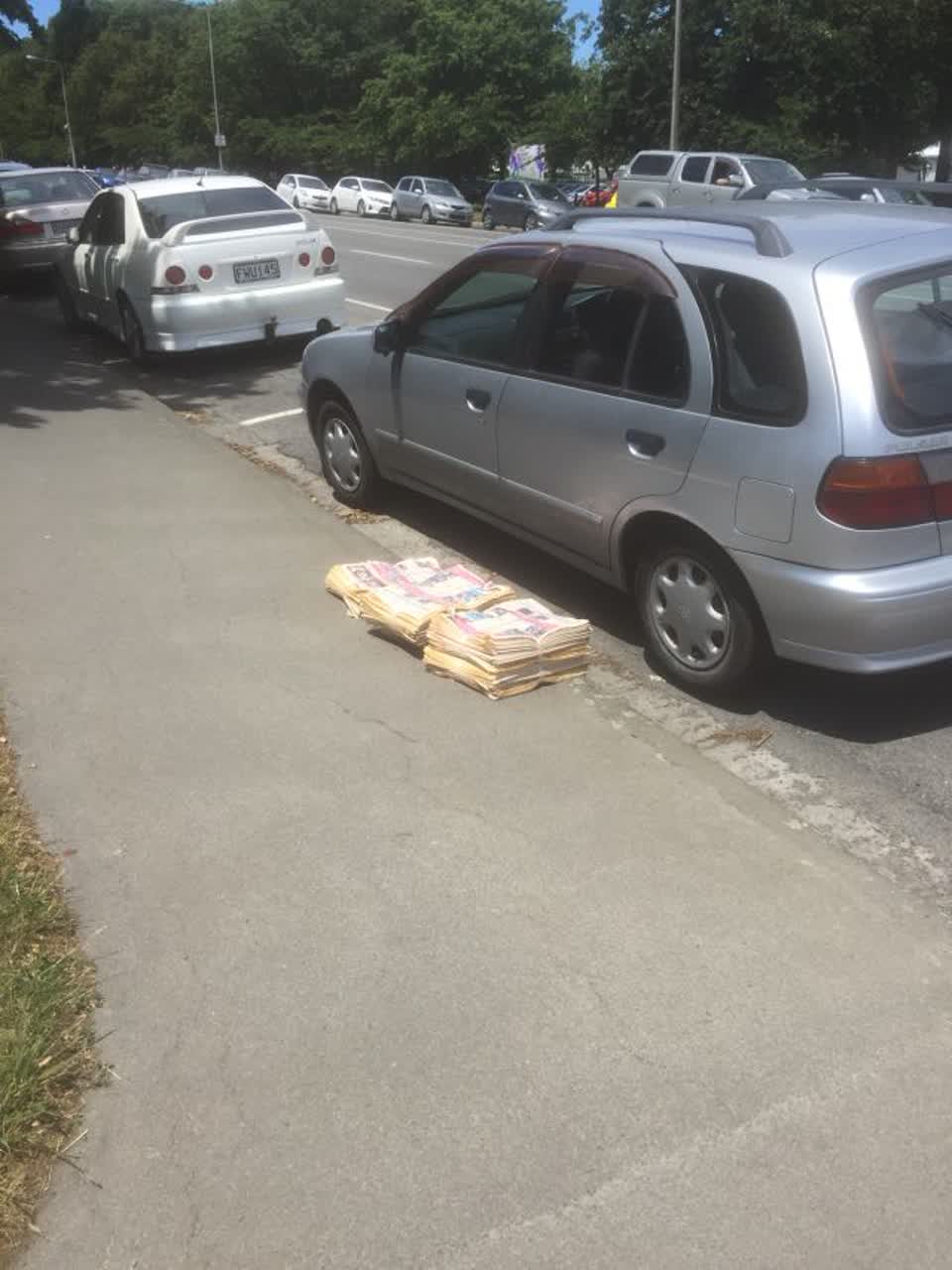 The photograph attached to this rubbish/recycling report