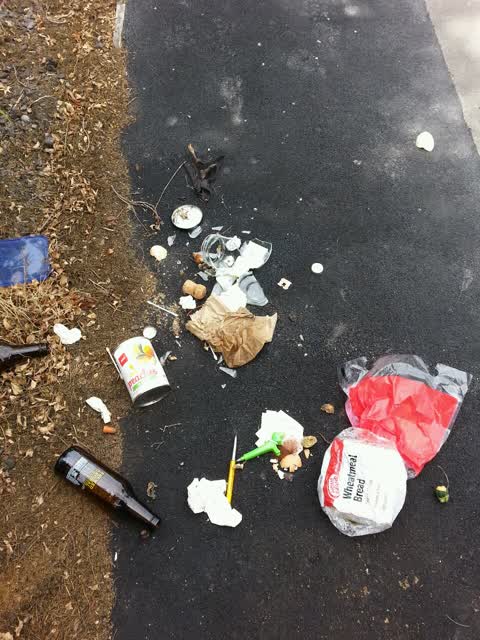 Rubbish/Recycling, a report photo