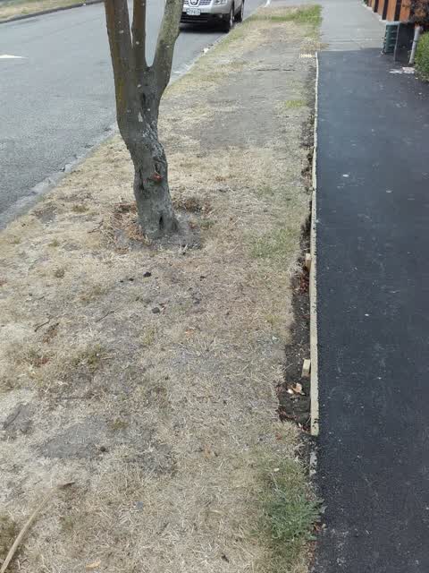 Roading/Streets, a report photo