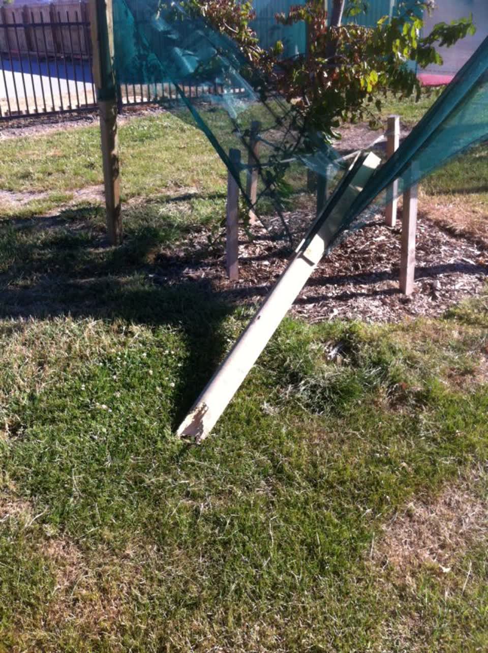 The photograph attached to this parks report