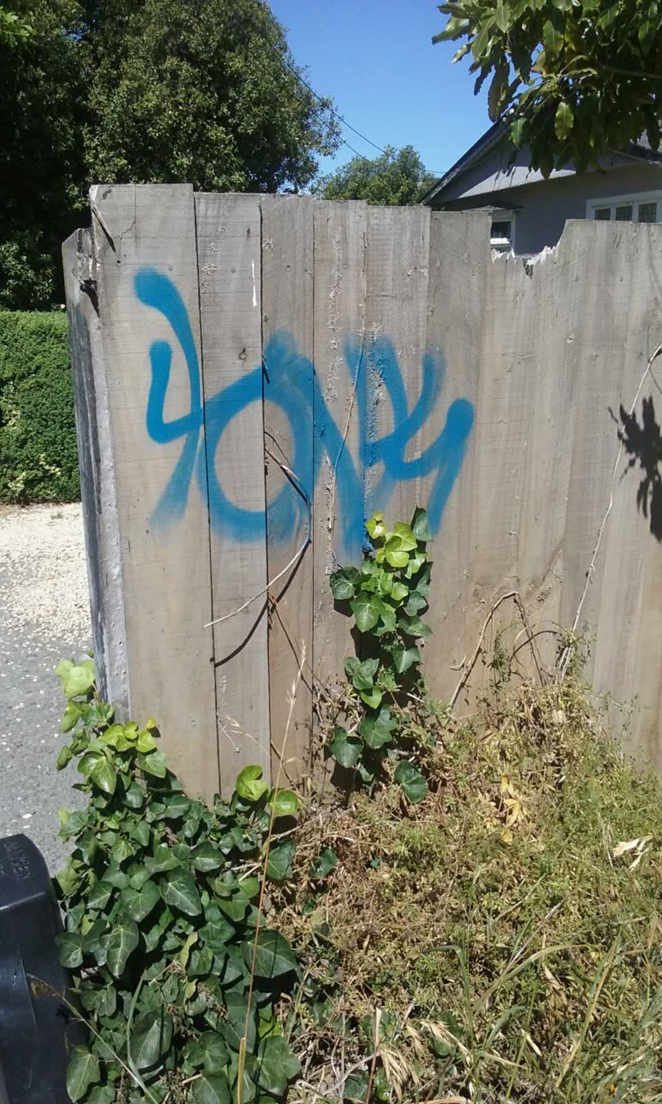 The photograph attached to this graffiti report