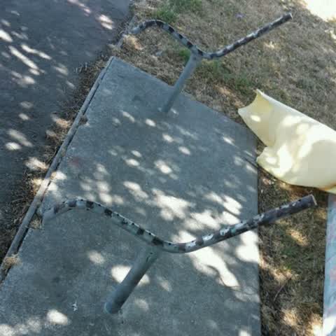 Parks, a report photo