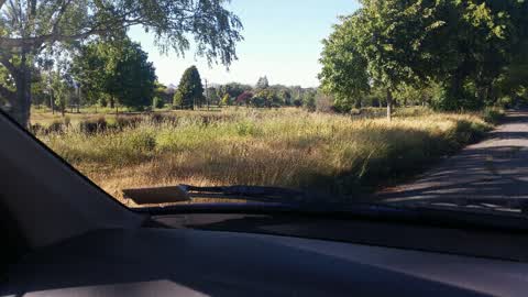 Parks, a report photo