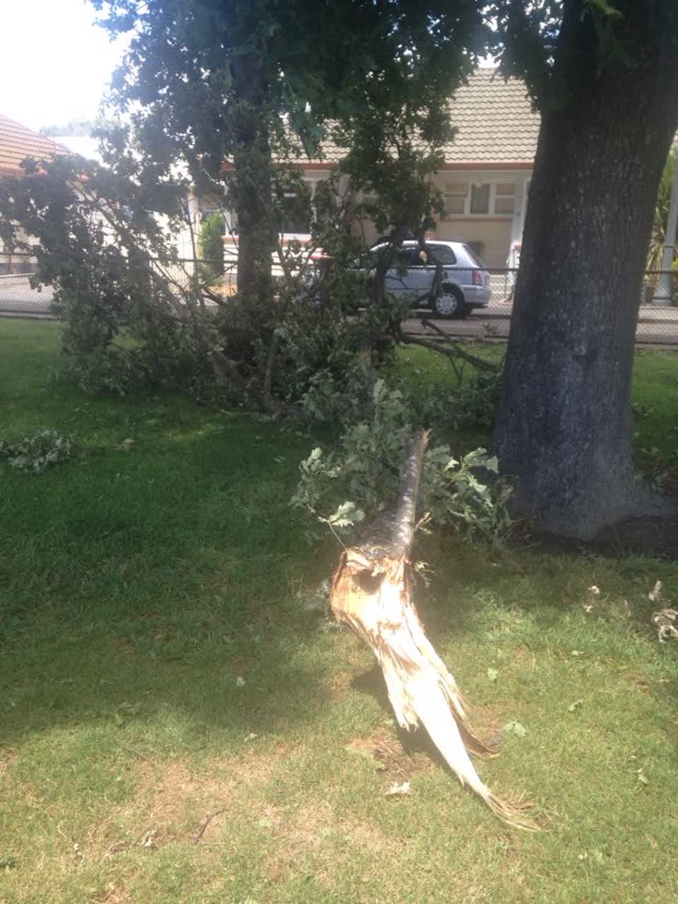 The photograph attached to this parks report