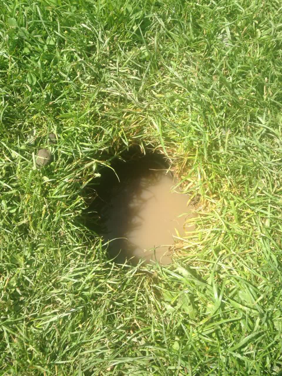 The photograph attached to this parks report